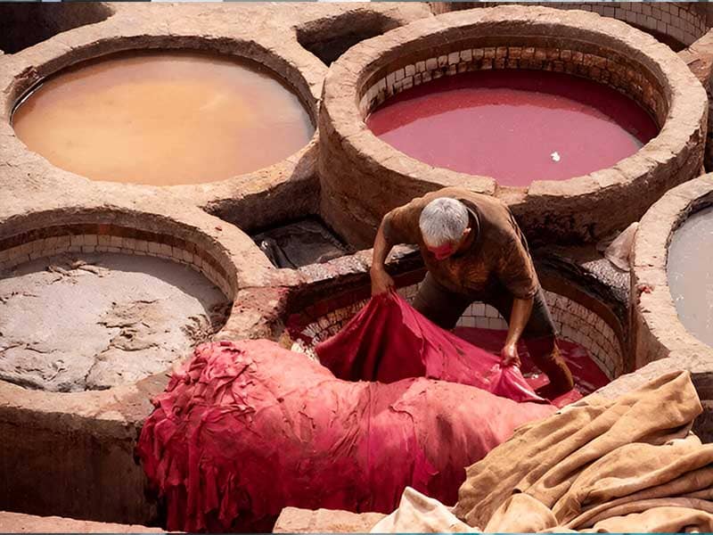 Tanneries (Leather Industry)