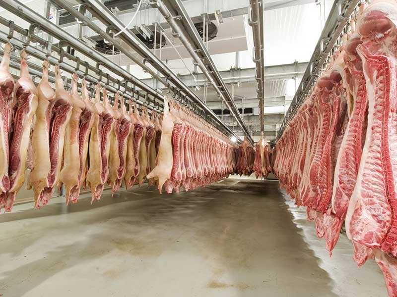 Meat Processing & Rendering Industry